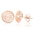 IMG-7681 aur(1).jpg